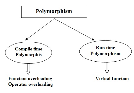 1446_Types of Polymorphism.jpg
